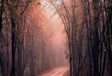 华体会APP下载-赛道与球场的双重奏，F1街道赛焦点战与热火鏖战马刺的激情碰撞